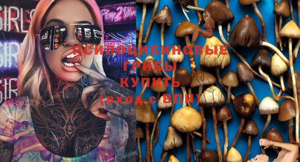 герыч Абдулино